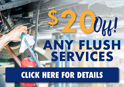 2025 1 - Flush Service